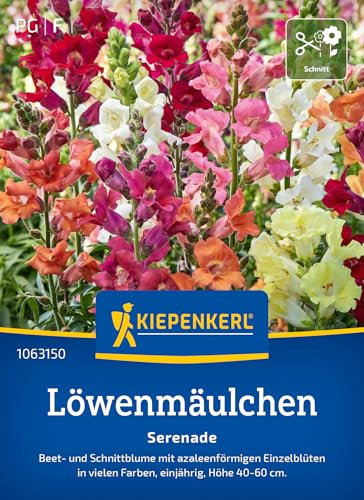 Kiepenkerl Löwenmäulchensamen Serenade 1063150 - Beet- und Schnittblume mit azaleenförmigen Einzelblüten in vielen Farben - Pflanzen, Blumensamen, Saatgut