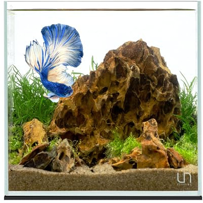 Ultum Nature Systems Ultraklares, randloses Aquarium, eisenarmes Glasaquarium mit 45° Gehrungskanten, 5 mm-12 mm dick, Nivelliermatte im Lieferumfang enthalten (25C, Würfel, 12 Liter)