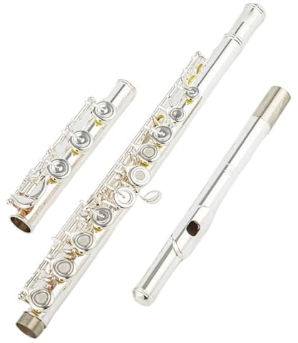 flûte Flûte Japonaise Professionnelle Cupronickel, Clé C, Flûte À 17 Trous, Instruments De Musique Plaqués Argent Avec Étui