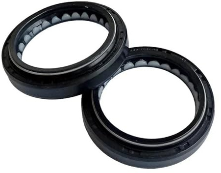 41x54x11 Paraolio Forcella Ammortizzatore Anteriore Parapolvere Per HONDA HORNET 600 FX650 VIGOR NT650 Coperchio Antipolvere(Black-Oil seal)