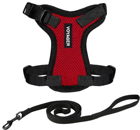 Voyager Step-in Lock Katzengeschirr und reflektierende Katzenleine mit Neoprengriff by Best Pet Supplies - Unterstützt kleine, mittelgroße und große Katzenrassen, Rot / Scharzwer Rand, size XS - 1,5 m
