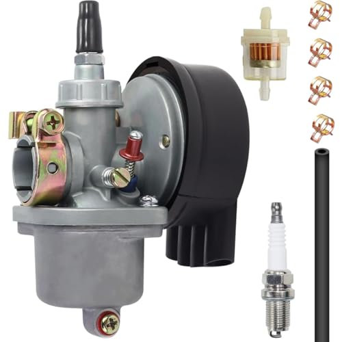 ZAMDOE Vergaser-Kits für Fahrradmotoren für 80cc 66cc 60cc 50cc 49cc Zweitaktmotoren, Fahrradmotoren, für Eton Rascal 40 & Viper Jr 40 IXL40 RXL40 RXL40E mit Zündkerzen-Kraftstofffilter