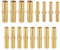 IOPJLK 16 Pezzi Raccordi per Tubi Flessibili in Ottone, Portagomma Con Connettore, Tubo Benzina, Raccordo Spinato Da 6mm/8mm/10mm/12mm per Aria, Acqua, Gas, Olio