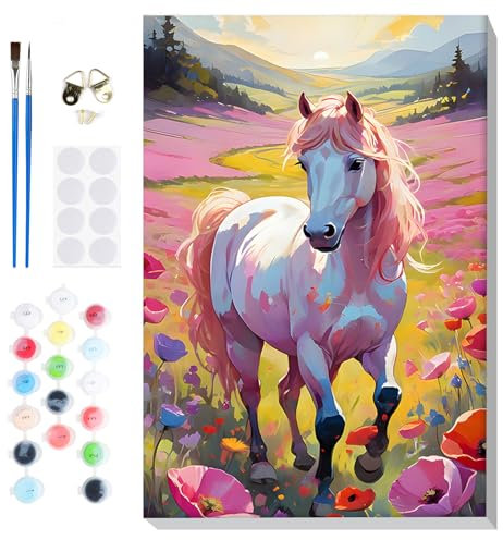 Lxmsja Peinture Numero Enfant Adulte avec Cadre, Cheval Peinture par Numero Adulte, Numéro d'art avec Pinceaux, Loisirs Créatifs Adultes, Activité Manuelle Adulte, 20x30cm