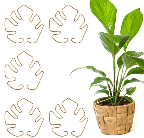Gosknor 5pz Monstera Plant Support, Supporto per Stelo di Pianta Monstera Supporto per Pianta a Forma di Monstera Supporto per Stelo Pianta Supporto per Picchetti di Supporto per Piante da Interno