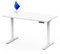 FLEXISPOT Höhenverstellbarer Schreibtisch Made IN EU Einteilige Tischplatte160x80 cm-mit 2 starken Motoren-Stabiler Schreibtisch Höhenverstellbar Elektrisch-Standing Desk mit Memory-Funktion(weiß)