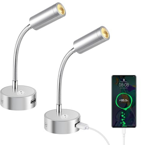 ERWEY 2er LED Leselampe 12V Wohnmobil mit Flexible Schwanenhals und USB-Ladeanschluss 3000K Warmweiß DC 12V-24V Spot für Boot Wohnwagen Innenbeleuchtung Yacht, Fest verdrahtet Wandmontage, Silber