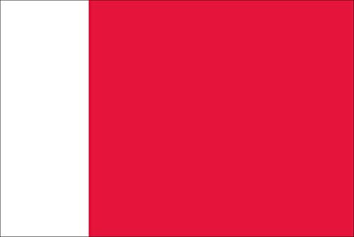 flaggenmeer® Flagge Dubai 120 g/m² ca. 120 x 200 cm