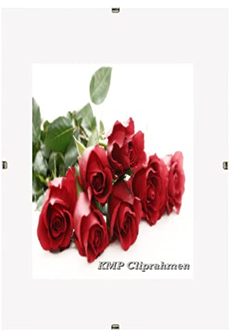 Bilderrahmen Cliprahmen Fotorahmen Bildhalter A1 A2 A3 A4 A5 A6 B2 Kunstglas Plexi (40 x 50 cm)