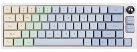 EPOMAKER TH66 PRO Hot Swappable RGB Tri-Mode Mechanische Gaming Tastatur mit PBT Tastenkappen, 2200mAh, Knopfsteuerung für Mac/PC (White Monet, Budgerigar Tactile)