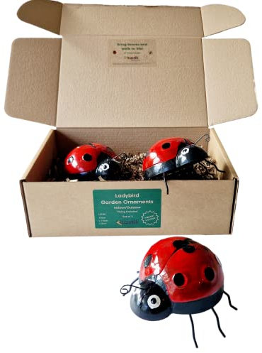 Ladybird Metal Garden Wall Art - Decorations Outdoor | Vibrant Ornaments for the Garden | Liven up Outdoor Walls Decor | Large Lady Bird Wall Art (Set of 3)