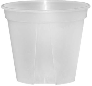 Pots à orchidées en plastique transparent avec trous - Pot de fleurs transparent pour plantes grasses - Bassin vert