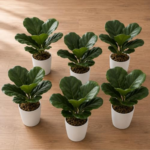 Leaf Pack of 6 x Realistic Artificial Potted Foliage Plants
