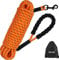 Taglory Lungo guinzaglio da addestramento per Cani, Nylon Riflettente Lunghina Cane con Manico, 5m Arancione