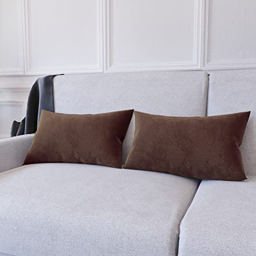Set di 2 Federe Per Cuscini In Velluto Morbido e Resistente Copricuscini Per Divano Poltrona Soggiorno Arredo Arredamento Casa Design Moderno Elegante Cerniera Invisibile (30 x 50 cm, Marrone Scuro)