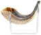 Yunnan 2 Stück Acryl Ständer Für Shofar Halterung Ständer Staffelei Rack Halter Unterstützung Schafhorn Schwerter Display Ständer Rack Dekoration Horn Display Ständer Sichere Stützstruktur
