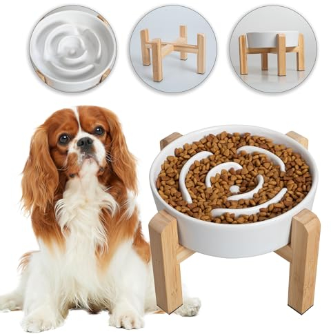 Gamelle Anti-Glouton Surélevée pour Chien - Bol en Céramique avec Support en Bambou - Idéale pour Chiens de Petite et Moyenne Taille - Blanc - 17 cm
