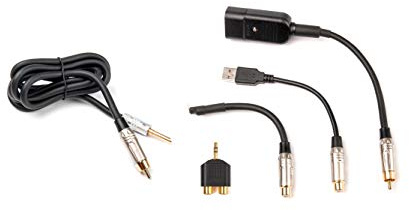 iFi Groundhog - Ground Loop Isolator for Audio Systems (Groundhog+)