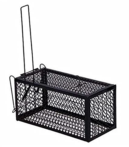 Mausefalle Lebend | Korbfalle mit Luftlöchern aus Metall | Lebendfalle für Mäuse | Wiederverwendbare Mäusefalle | Rattenfalle [23x11x11cm] für Innen & Außen | Kastenfalle um Mäuse zu fangen - B-Ware