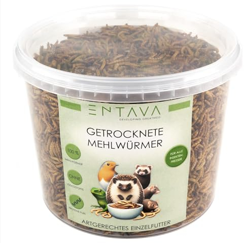 ENTAVA getrocknete Mehlwürmer Premium Qualität - Insektensnack Vögel, Fische, Koi, Schildkröten, Nager, Reptilien, Vogelfutter, Wildvögel, Igelfutter