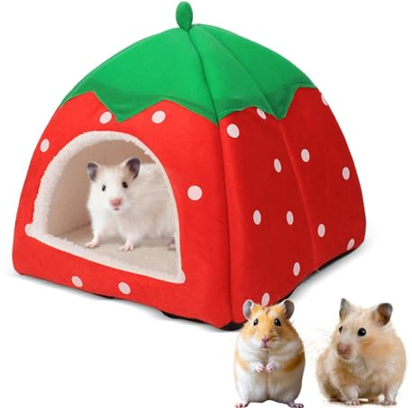 Meerschweinchen Haus, Mit Herausnehmbare Matte 24 X 24cm (Rot) | Kuschelhöhle Meerschweinchen, Erdbeeren Meerschweinchen Bett, Ratten Zubehör für Zwergkaninchen Chinchilla Hamster