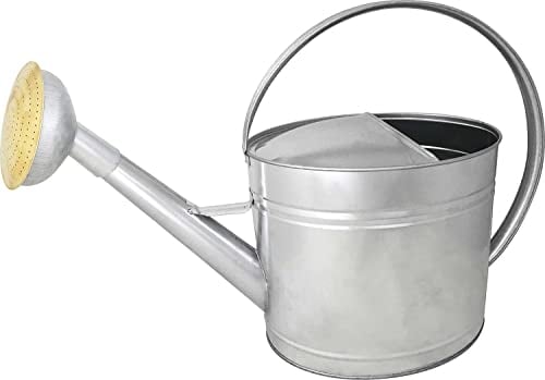 ARROSOIR 13L TOLE GALVA - Pomme GALVA Grille Laiton