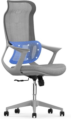 SANODESK Bürostuhl Ergonomisch Schreibtischstuhl Computerstuhl Höhenverstellbarer Sitz Kopfstütze Armlehne Lendenwirbelstütze Lenkrollen Arbeitsstuhl(grau)