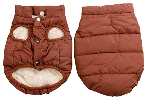 JoyDaog Hundejacke für den Winter und kaltes Wetter, 2-lagiges Fleece, warm, weich, winddicht, für kleine Hunde, Braun, Größe M