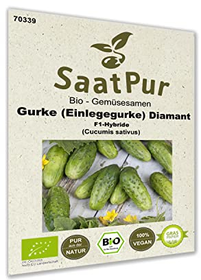Bio Gemüse Samen Einlegegurke Diamant F1 Snacki Gurke bitterfrei Saatgut für ca. 10 Pfl.