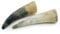 Glorious Treats and Chews All-Natural Beef Horn Chews for Dogs: Long-Lasting, High-Protein, Gluten-Free, Grain-Free Horn Dog Treats for Enhanced Dental Health & Nutritious Dog Chews