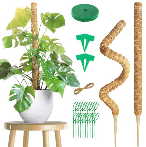 2 Pièces Tuteur Monstera 100 cm, Support Plante Grimpante,100cm Tuteur Plante, Tuteurs pour Plantes Grimpante,Tuteur Coco pour Plante Grimpante,Tuteur pour Maison,Tuteur Fleur,Lierre
