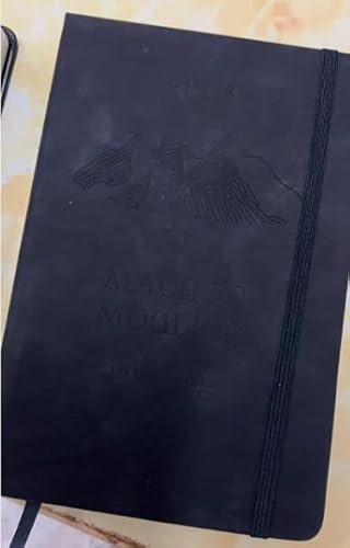 BIROYAL Erfolgsjournal | Zielplanung, Gewohnheitsbildung, Selbstreflexion – Schrittweise zum Erfolg | A5 Tagesplaner, 320 Seiten – Tagebuch für Erwachsene für mehr Motivation, Fokus & Erfolg