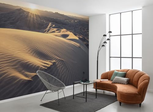 Komar Poster XXL Impression Numérique, 450cm x 280cm, Vue Panoramique des Mojaves