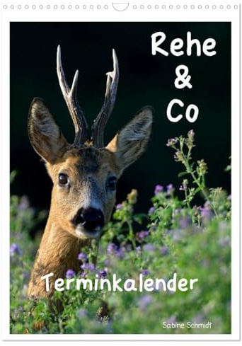 Rehe & Co/Planer (Wandkalender 2026 DIN A3 hoch), CALVENDO Monatskalender: Wildlife Rügen/Deutschland (CALVENDO Tiere)