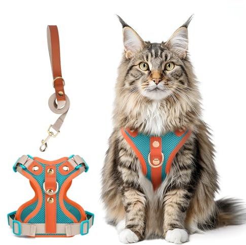 Muecleao Katzengeschirr mit Leine, Leder Weste, Seeblau + Orange, XL | Mikrofaser-Leder mit Goldnieten, Schnellverschluss, Luftiges Meshgewebe, Reflektierende Streifen, 150-cm-Leine inklusive