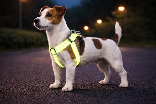 hundegeschirr - Step&Go Fergu Fluo gelb S - A:25-45 cm B:25-45 cm - 15 mm - Nylon verstellbar - reflektierend