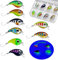 Messeneuheit 2023 Forellen Wobbler Set Schwimmend 8 Stück 2g 3cm in Köderbox | 1-2 Meter Tauchtiefe | Wobbler Forelle mit Einzelhaken | Mini Wobbler Forelle Barsch Saibling Döbel