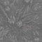 Holden Décor Alchemy Collection Susara Strukturtapete, 10 m x 53 cm, Anthrazit / Zinn