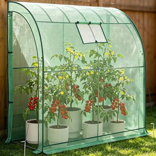 Soontrans Tomatengewächshaus 200x100x210 cm, Geschützter Wachstumsbereich zur Bündelung, Gewächshaus D-Förmige Konstruktion Foliengewächshaus mit Doppel-Rolltür & Seitennetzfenster & Stecksystem