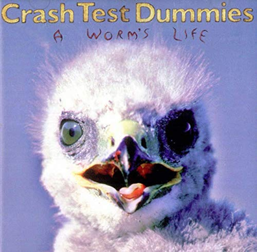 Crash Test Dummies