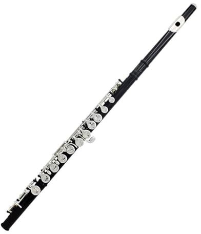 C-Flöte für Anfänger 16 Löcher C-Ton-Flöte Mit E-Taste Schwarzes Holzblasinstrument Geschlossene Taste Kupfernickel-Röhrenflöte Anfänger Mit Zubehör