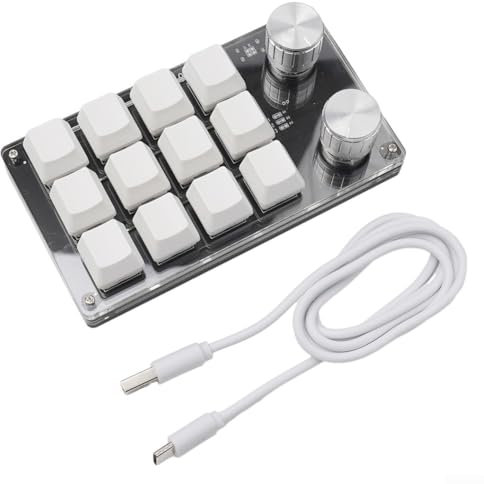 Getdoublerich Programma facilmente la tua workstation con questa tastiera meccanica compatta USB C dotata di dodici pulsanti funzionali (nero)