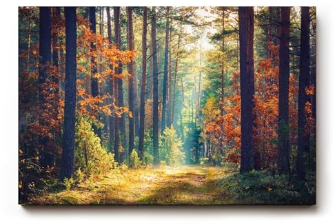 Sinus Art Wandbild 120x80cm Waldweg durch herbstlich gefärbten Wald mit Lichtspiel für gemütliche Raumwirkung