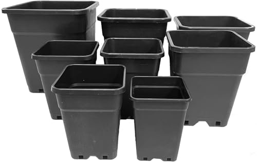 Generisch Pflanztopf in Verschiedene Größen (10, 2L - 13x13x17,5cm)