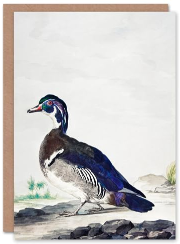 Artery8 Aert Schouman Art Card Wood Duck Vintage Bird Oil Painting