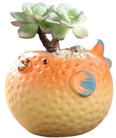 DIYOMR Fioriera in ceramica a forma di animale carino, pesce palla dal ventre grande, vaso per piante grasse, piccolo vaso per piante grasse per mini piante, fiori, cactus, piante non incluse