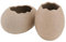 HOLIDYOYO 2er Set Eierschalen Vase Für Hydroponik Dekorative Blumenvase Ei Form Für Tischdeko Pflanzenbehälter Und Kreative Wohnaccessoires