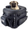 Goldfire Haustier-Tragetasche, tragbar, wetterbeständig, Motorrad-Transportbox für Hunde/Katzen, für Straßenrutsche, Straßenking, mit Gepäckträger oder Beifahrersitz, Touring, Trike-Modelle (schwarz)