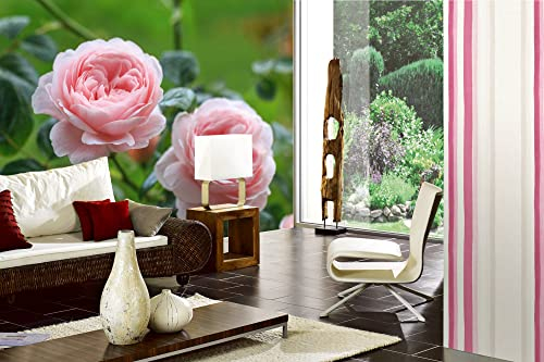 Vlies Fototapete ENGLISCHE ROSE 375 x 250 cm (inkl. Kleister) - Vlies Tapete, Wandtapete, Wandbilder - Tapete für Wohnzimmer Schlafzimmer, Büro, Küche - Montagefertig