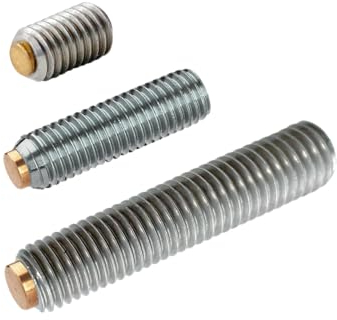 Generisch Druckschrauben mit Messingbolzen Gewindestifte Messing M4 M5 M6 M8 Edelstahl V2A Rostfrei mit Innensechskant - Schraubstifte mit Druckzapfen (2, M6 x 12mm)